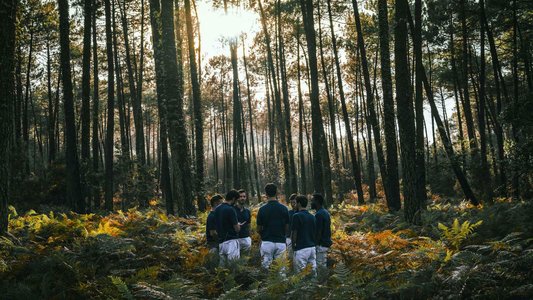 Concerts Boulevard Airs