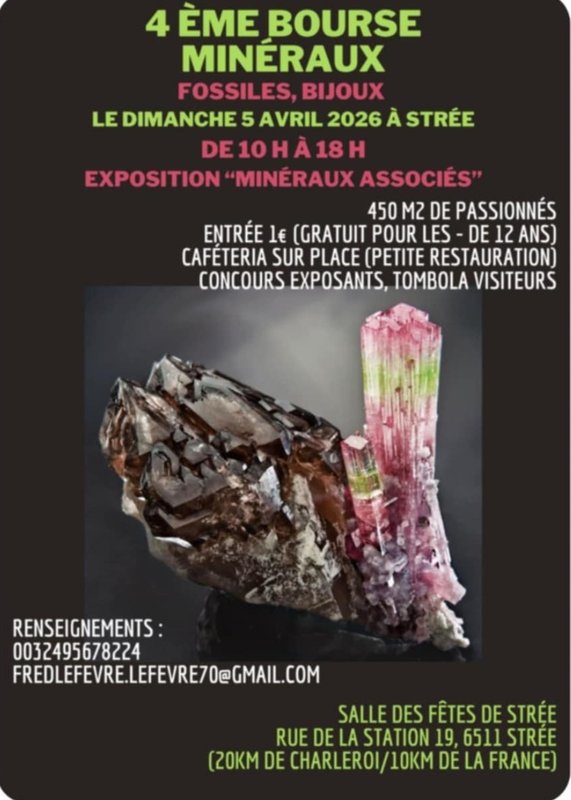 Loisirs 4eme bourse minéraux bijoux fossiles coquillages