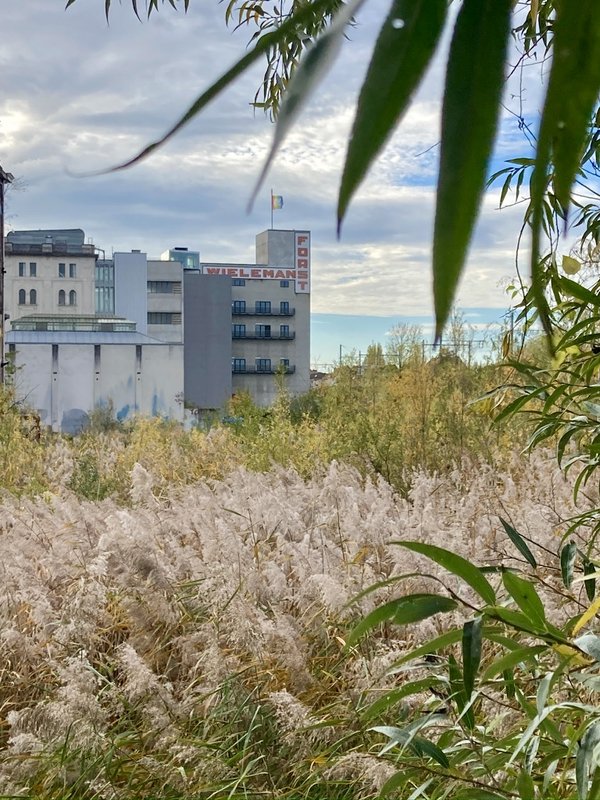 Loisirs Visite guidée Marais Wiels une Fé.e 