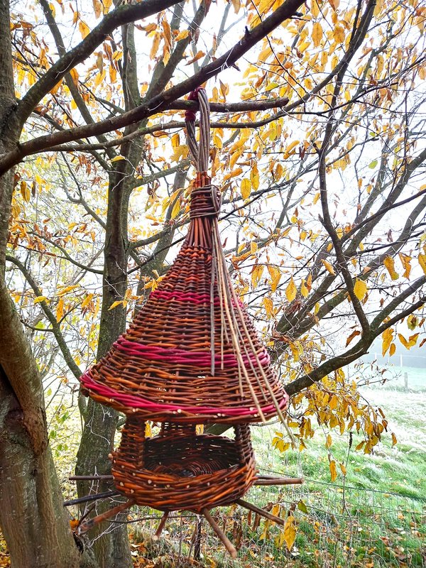 Stages,cours Atelier osier : fabriquez nichoir une vannerie sauvage