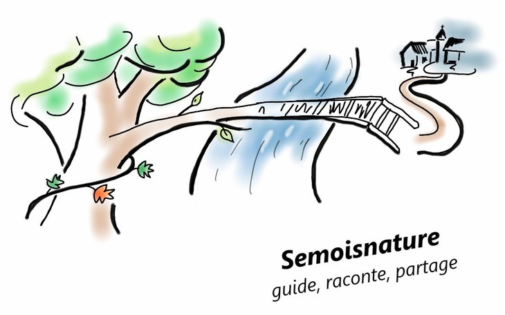 Loisirs Balade contée forêt