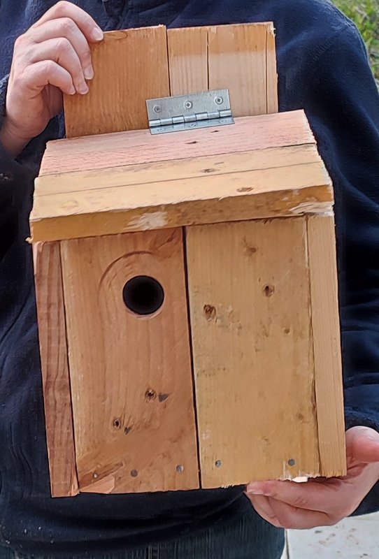 Stages,cours Atelier Jardins Fabrication d un nichoir