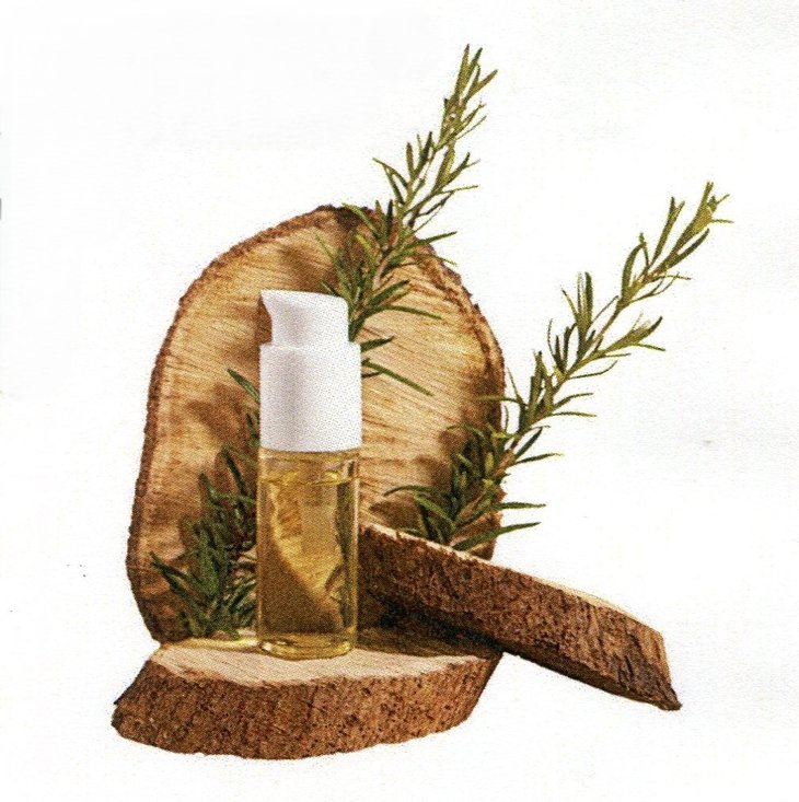 Conférences Huiles essentielles méthodes naturelles pour chaque saison : l hiver