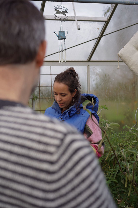 Stages,cours Atelier Potager Printemps