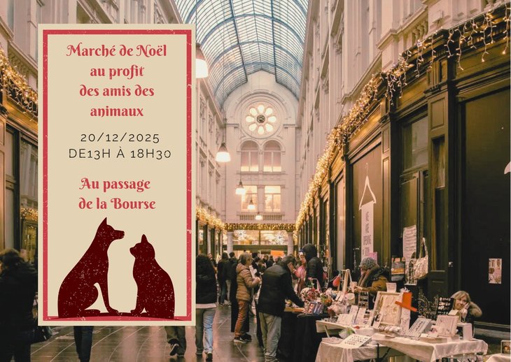 Marchés de Noël Marché Noël : Melibooks la magie Noël