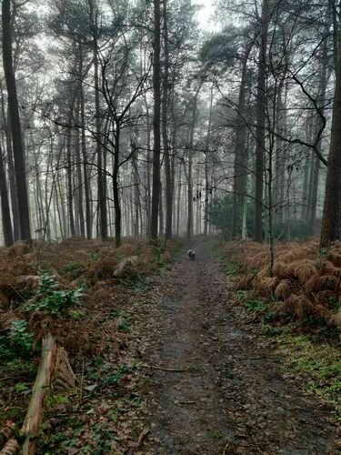 Loisirs Balade Nature