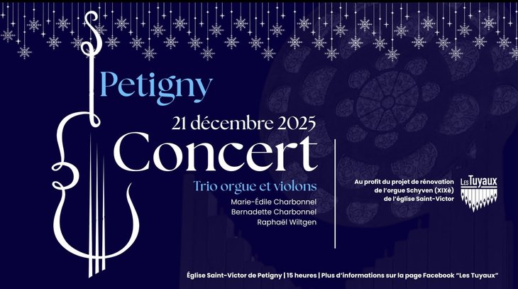 Concerts Concert Noël: trio orgue violons