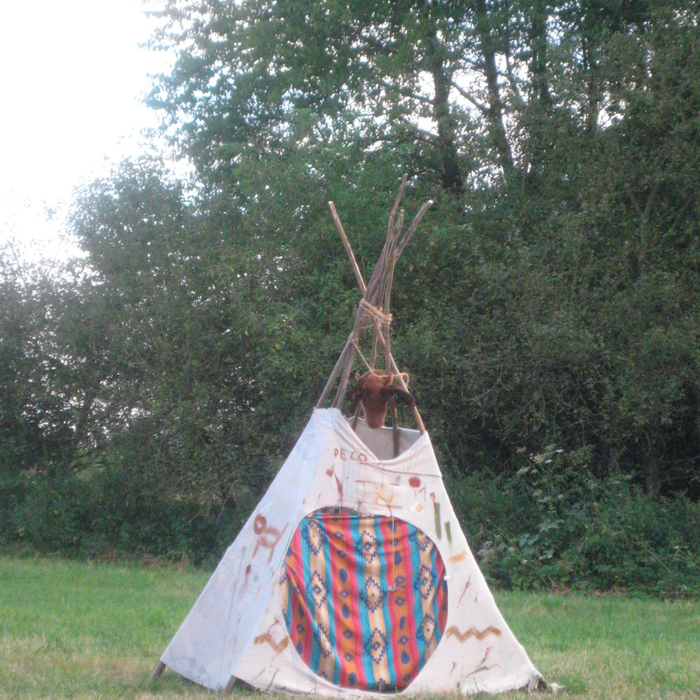 Stages,cours 11-18 (guerriers) - retour indiens...  - stage d été semaine 2