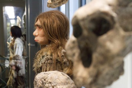 Stages,cours Les petits labos Musée - Enquête Néandertal Fabrique Sud