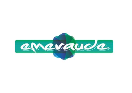 Stages,cours Remise prix littéraire Émeraude, vivre encore ! »