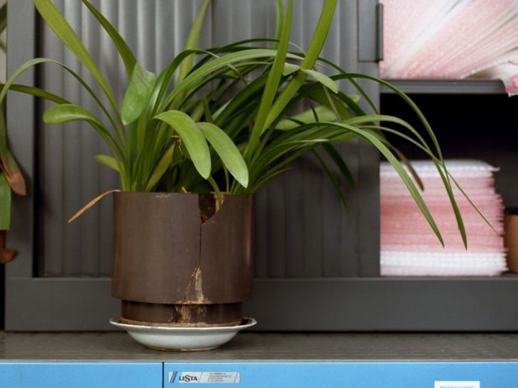 Loisirs Visite guidée I Work