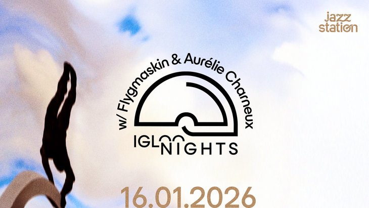 Concerts Igloo Night : Flygmaskin : Ianchelevici feat. Aurélie Charneux