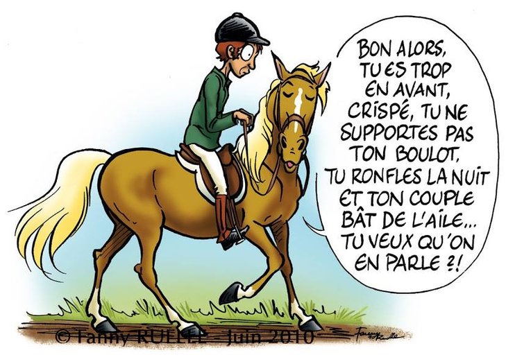 Stages,cours Communication Animale: initiation