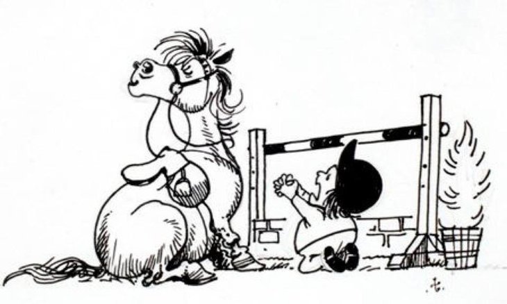 Stages,cours Communication Animale, niveau 2