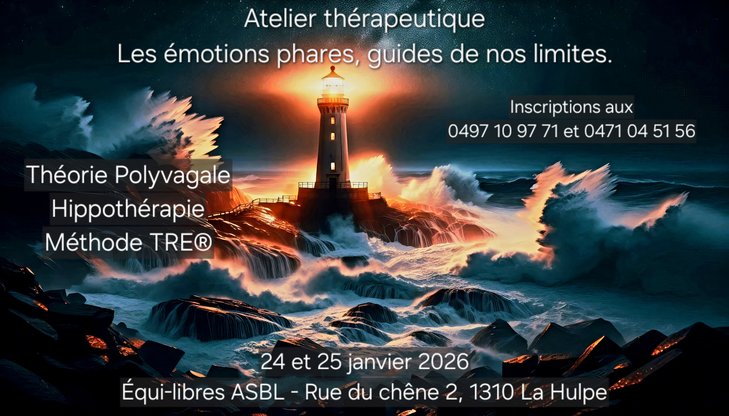 Stages,cours Atelier thérapeutique: émotions phares, guides nos limites