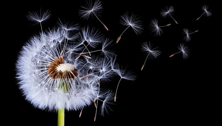 Stages,cours Atelier Chamanique avancé: Recouvrement d Ame