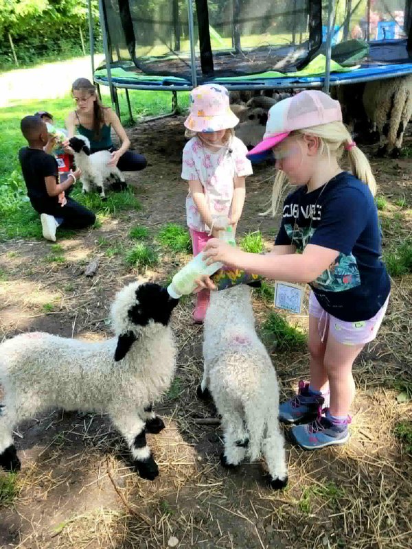 Stages,cours Les p tits bergers