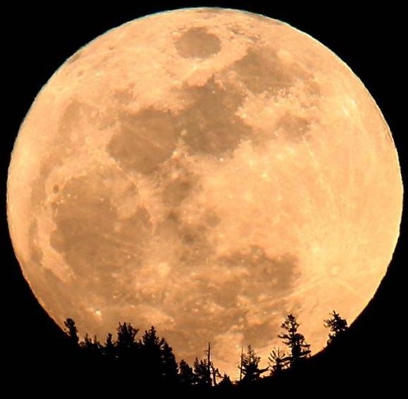 Stages,cours Atelier Chamanique avancé: Psychopompe