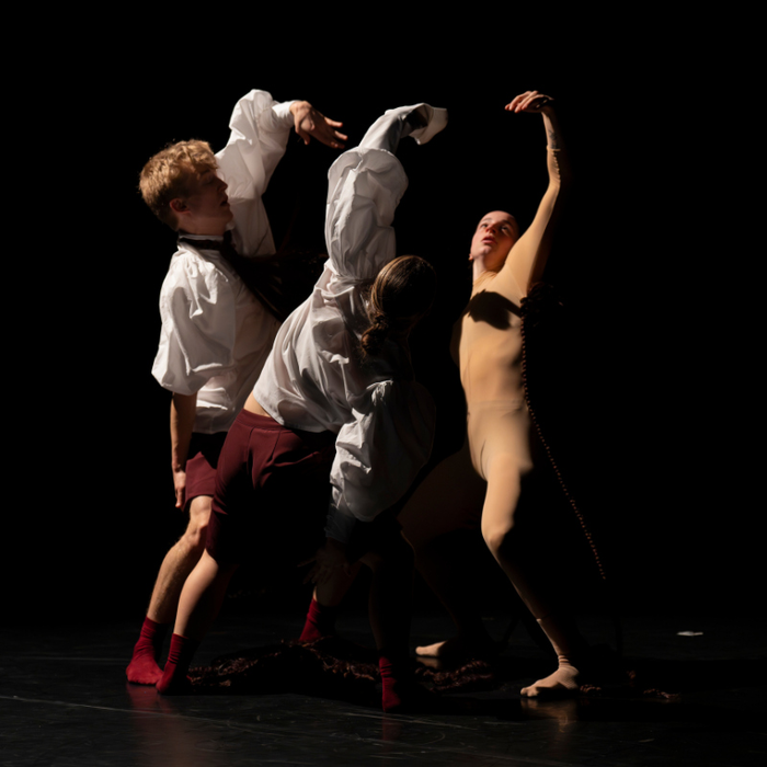 Spectacles Co-Lab | Scenar!o & schrit_tmacher Festival Talent