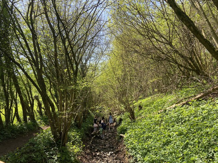 Stages,cours A travers champs 