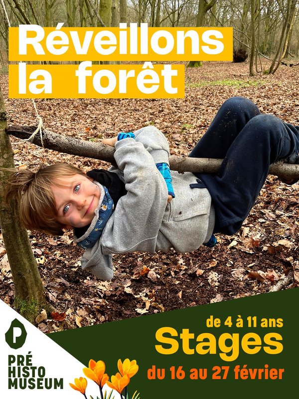 Stages,cours Stage enfant vacances détente - Réveillons forêt