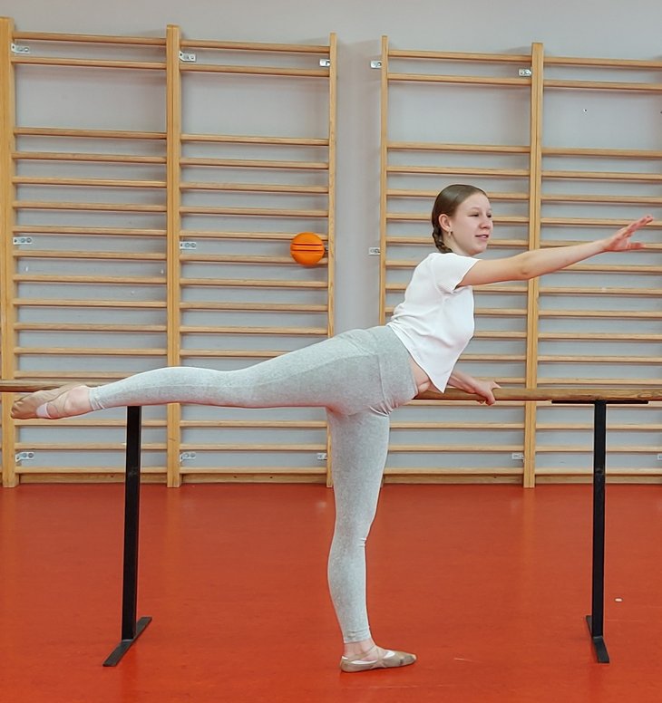 Stages,cours Cours danse classique