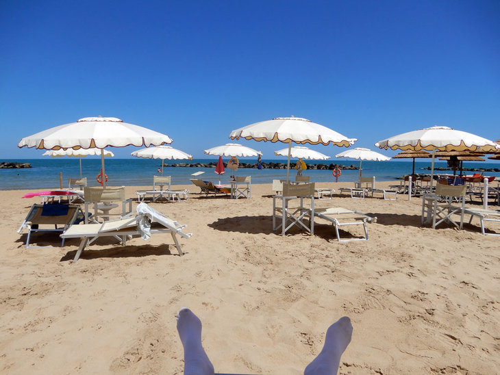 Stages,cours Atelier Photo Nature