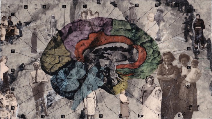 Stages,cours Atelier transfert d images (FR-NL-EN)