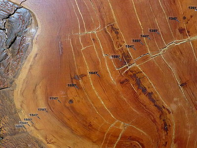 Conférences UNE GÉOGRAPHIE LIGNES - LA DIVERSITÉ MODES D HABITER ENJEUX POLITIQUES D