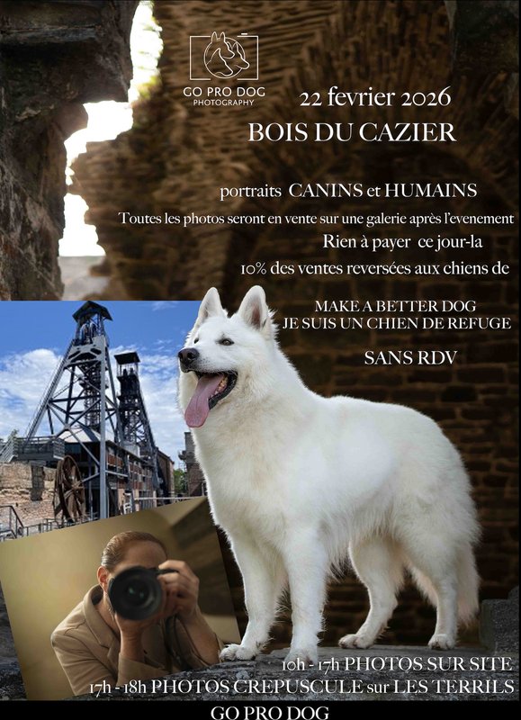 Loisirs Journée portrait Bois Cazier