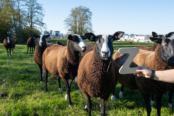 Expositions Le Cycle Tissus urbains
