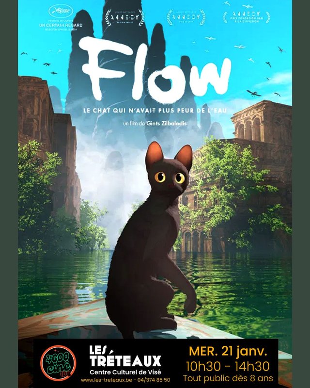 Spectacles Flow, chat n avait plus peur l eau