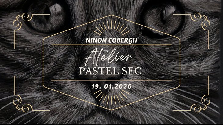 Stages,cours Atelier pastel sec