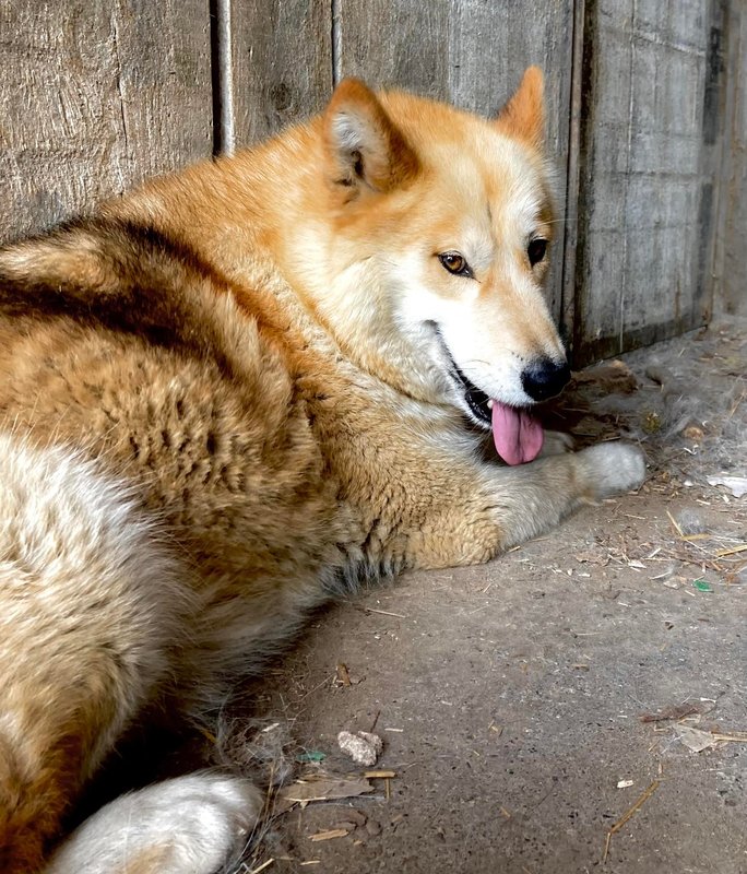 Stages,cours Into wild - stage deux jours coeur la nature