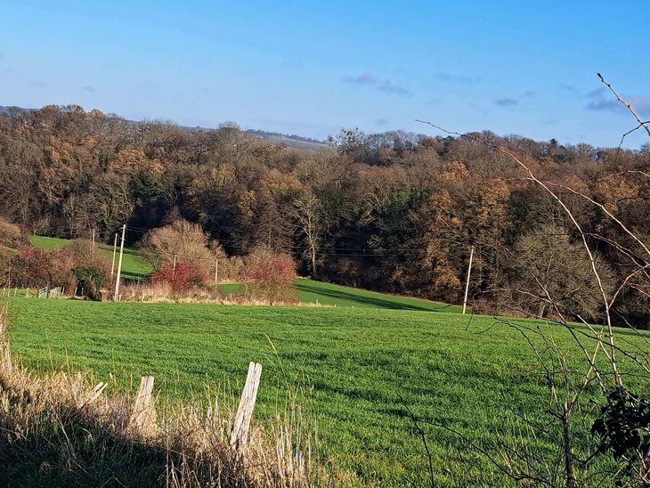 Loisirs Promenade guidée : errance dans campagnes trembleuroises