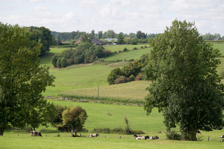 Loisirs Promenade guidée : entre village nature, Soiron la réserve Tribomont