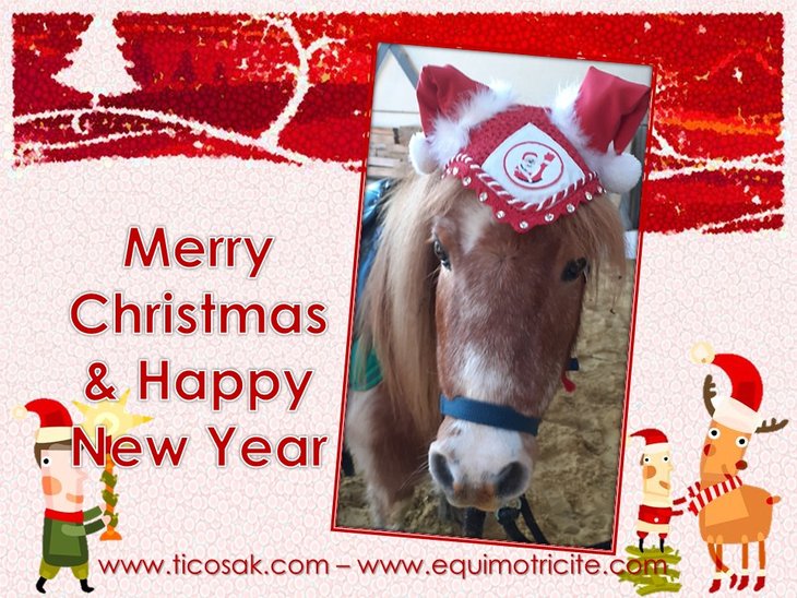 Loisirs Activités  poney  1 offerte : offre la Saint Sylvestre