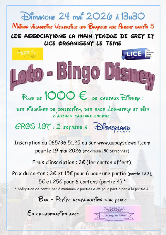 Loisirs 6ème Loto bingo Disney