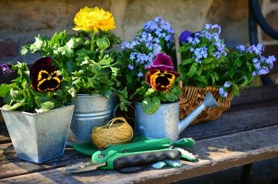 Stages,cours Réunion Cercle horticole