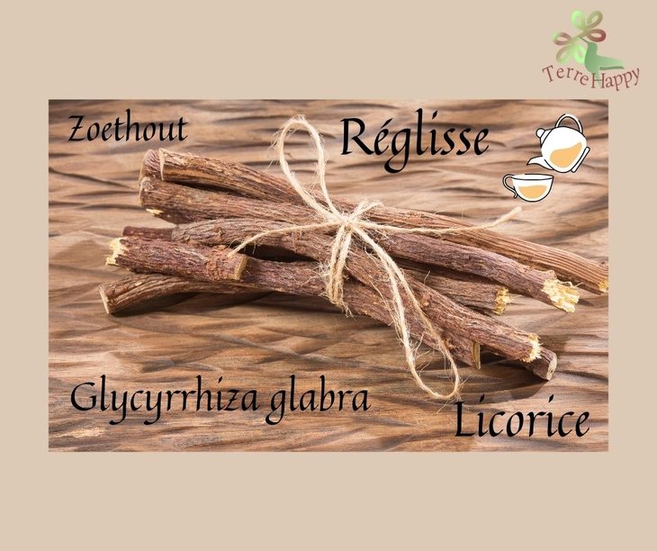 Stages,cours Les bienfaits la réglisse hiver