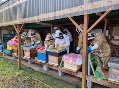 Loisirs Porte Ouverte section apicole Les Amis Unis rucher École Péruwelzis