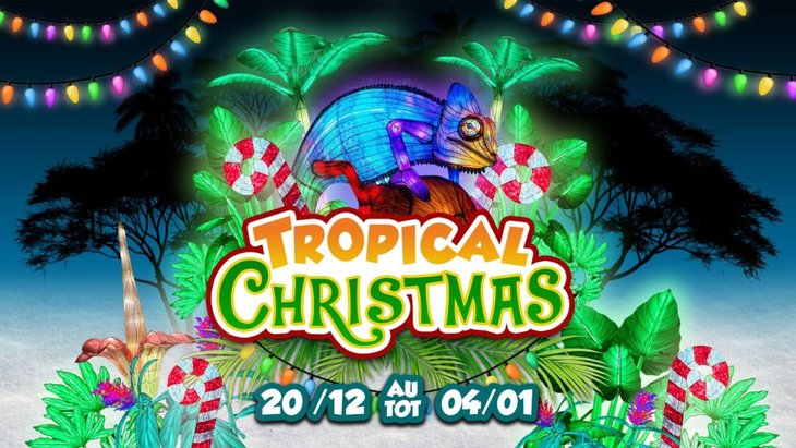 Loisirs Jungle City Tropical Christmas