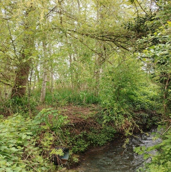 Loisirs 18ème Marche Picardes basècloises