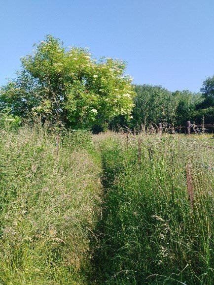 Loisirs Marche Adeps d Orientation marche fléchée (Marche Adeps)