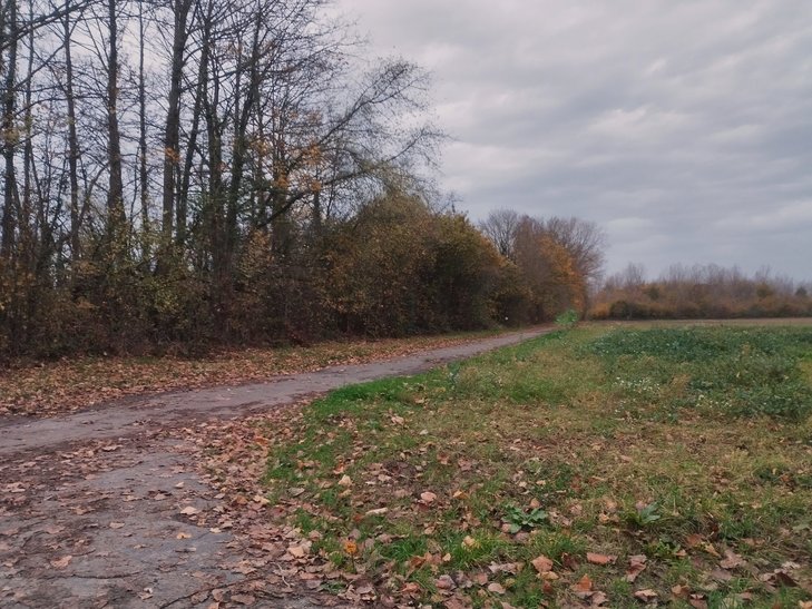 Loisirs 50ème Marche Marbriers(Marche Adeps)