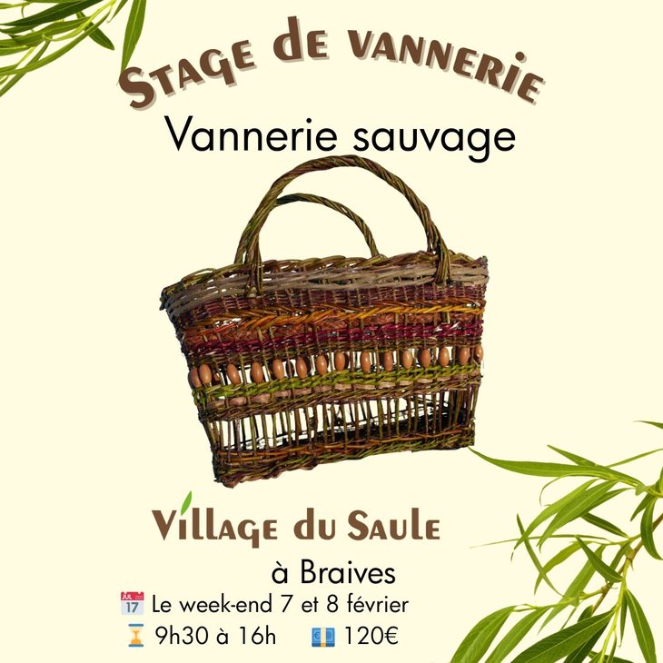 Stages,cours Vannerie sauvage (sac / panier courses)