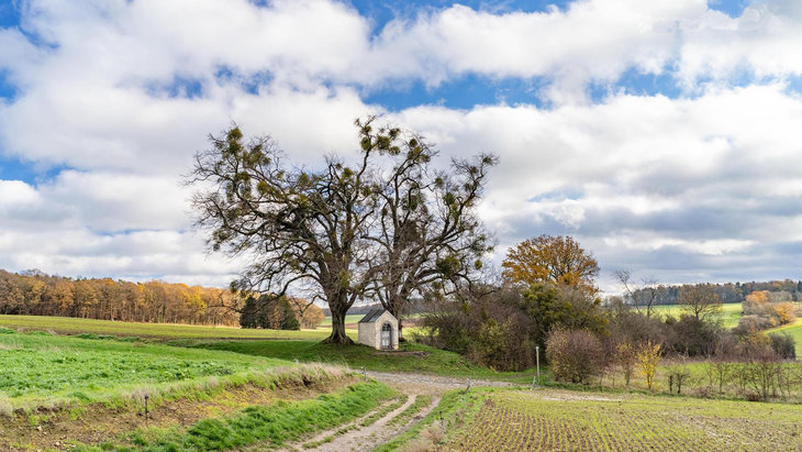 Loisirs Randonnée - Perle la vallée Samson