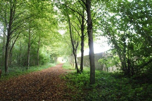 Loisirs Balade nature forêt : les de faune de secrets