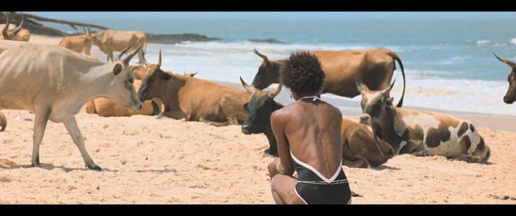 Spectacles Le Rire le Couteau Riso Faca):  Version longue