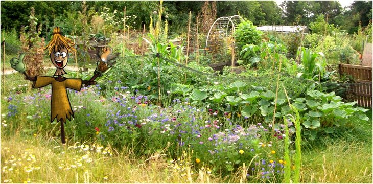 Stages,cours Le potager (jardinage naturel)